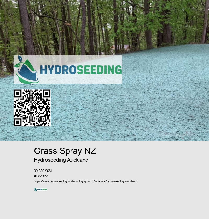 Hydroseeding Service Providers NZ