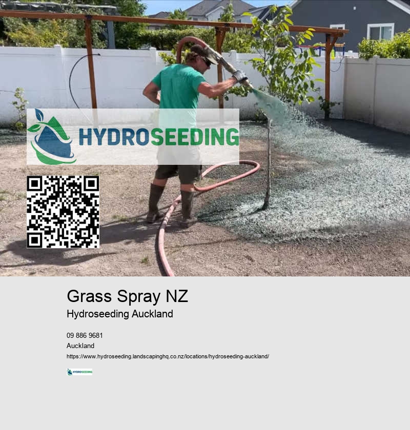 Hydroseeding Cost NZ
