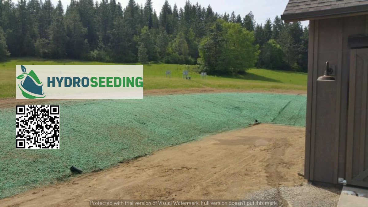 Slope Stabilisation With Hydroseeding Auckland