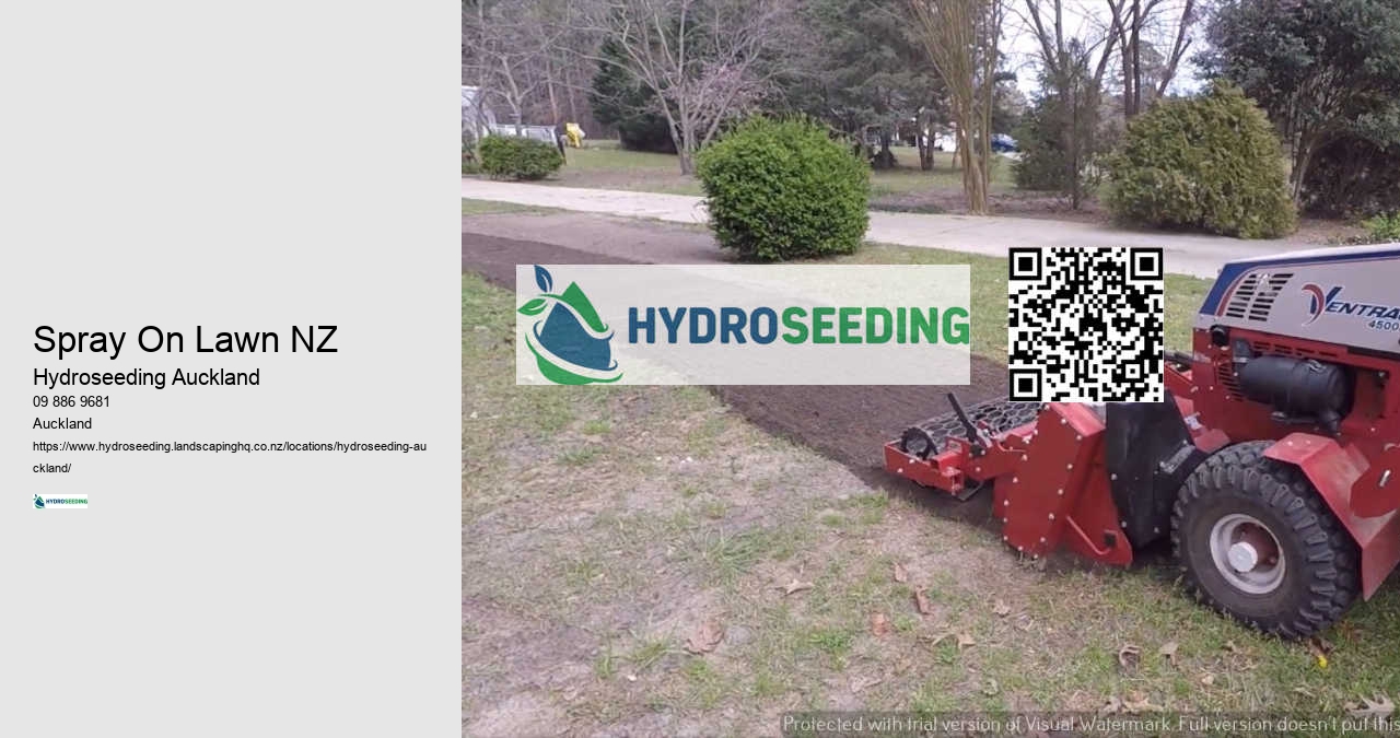 Spray On Lawn NZ
