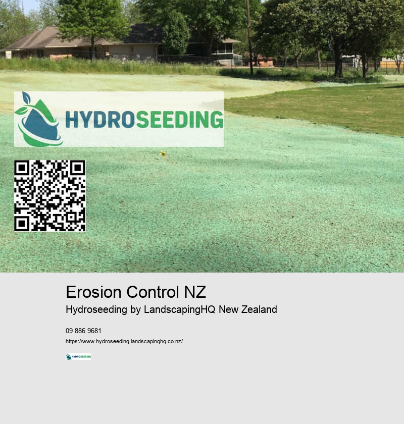 Benefits of Hydroseeding Over Sod