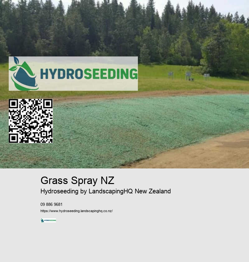 Ground Preparation For Hydroseeding New Zealand