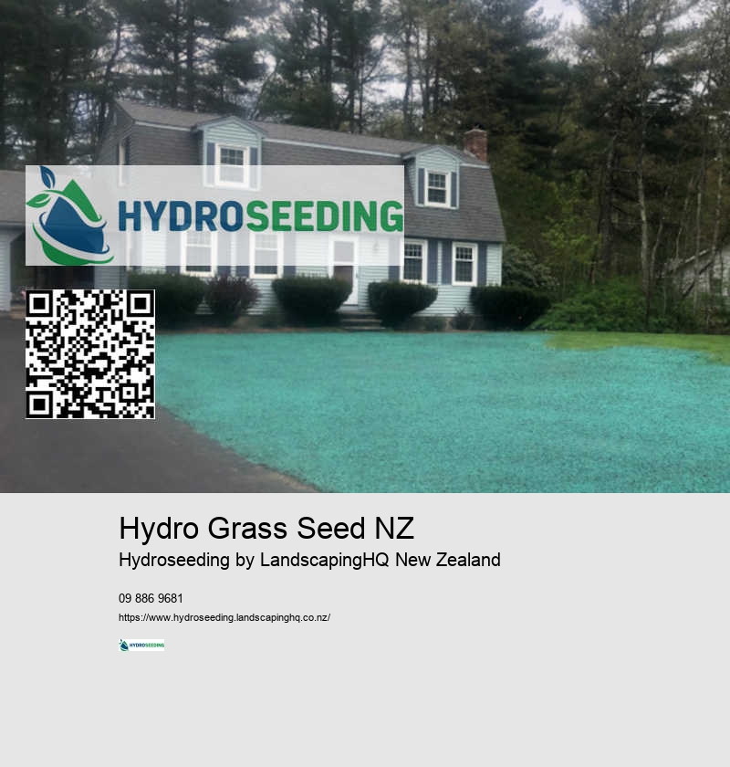 Hydroseeding Techniques for Success