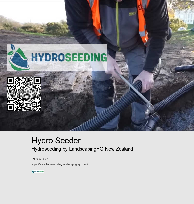 Lawn Seeding Services NZ