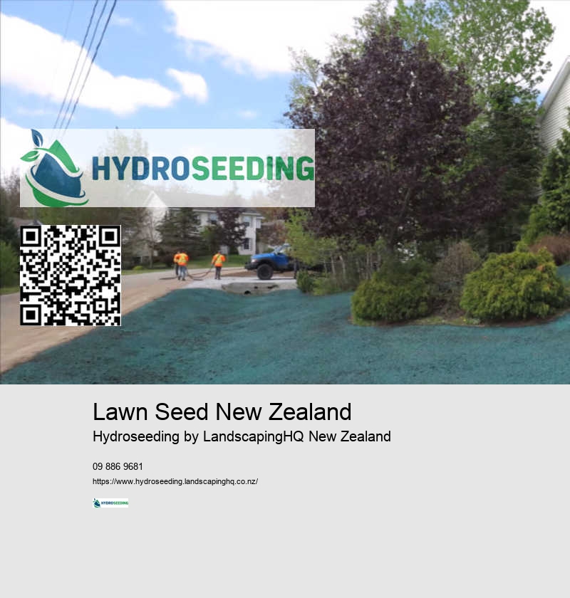 Affordable Hydroseeding Auckland
