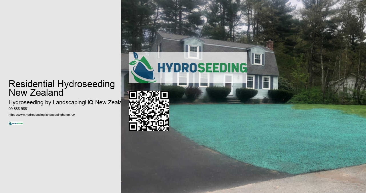 Hydroseeding Techniques for Success
