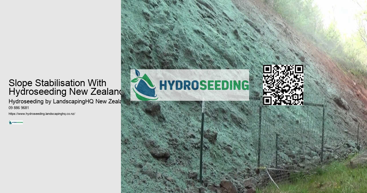 Slope Stabilisation With Hydroseeding New Zealand