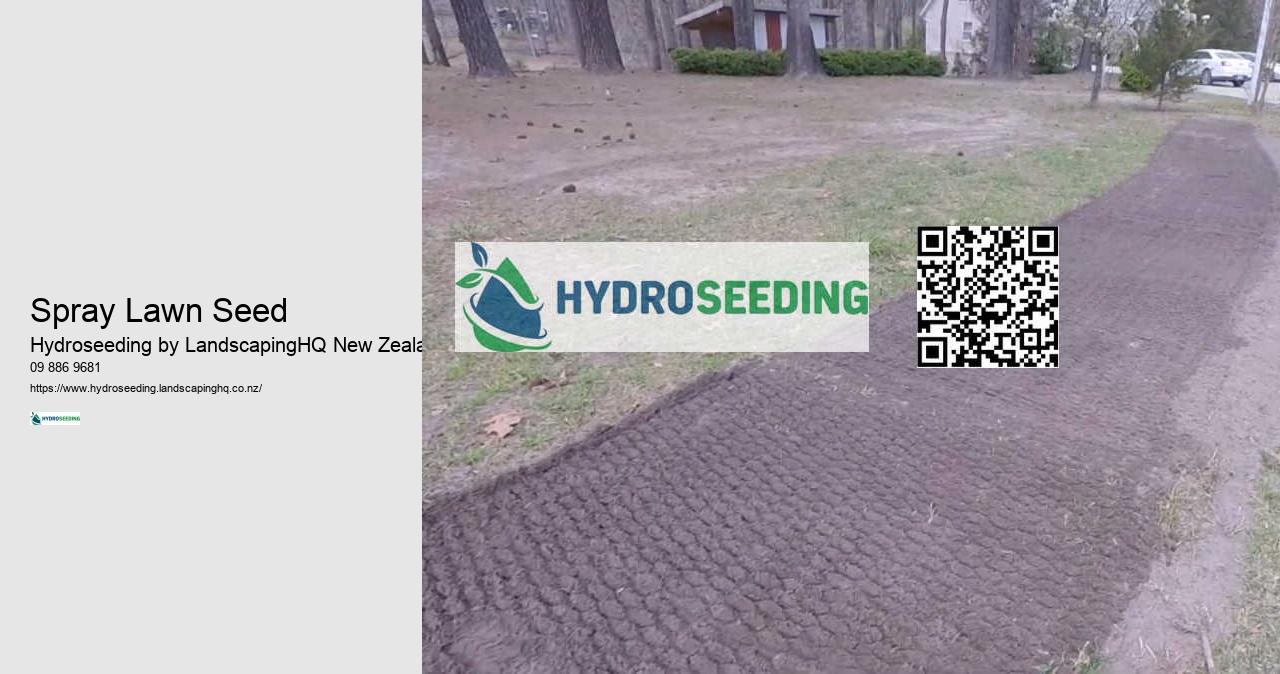 Spray Lawn Seed