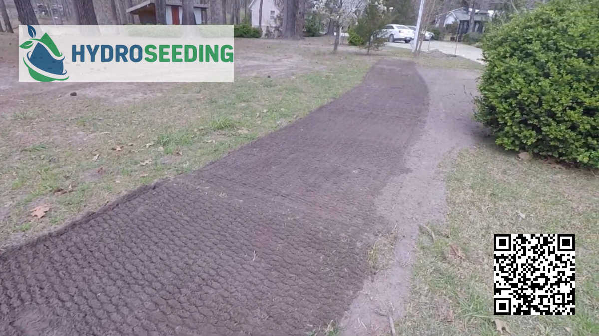 Custom Hydroseeding Solutions for Unique Landscapes New Zealand